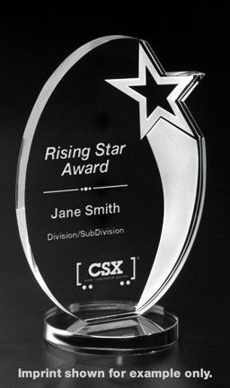 Rising Star AwardSilver