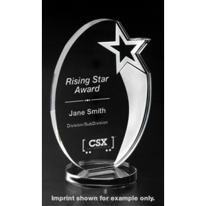 Rising Star AwardSilver